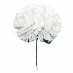 FLOR FLAMENCA X 2 CLAVELES