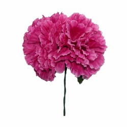 FLOR FLAMENCA X 2 CLAVELES