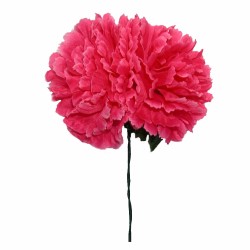 FLOR FLAMENCA X 2 CLAVELES