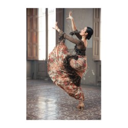 Falda Schermo Punto Elástico Estampado Adulto