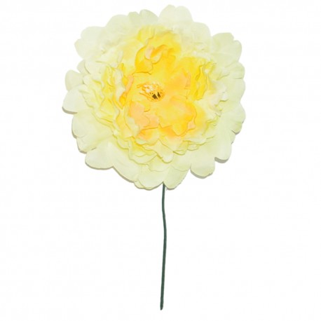 FLOR PEONIA