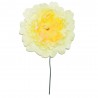 FLOR PEONIA