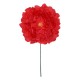 FLOR PEONIA