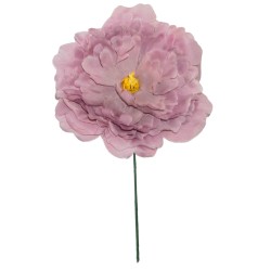 FLOR PEONIA