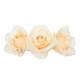 FLOR TIARA 3 ROSAS MEDIANAS