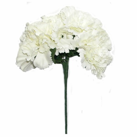 RAMO CUATRO CLAVELES